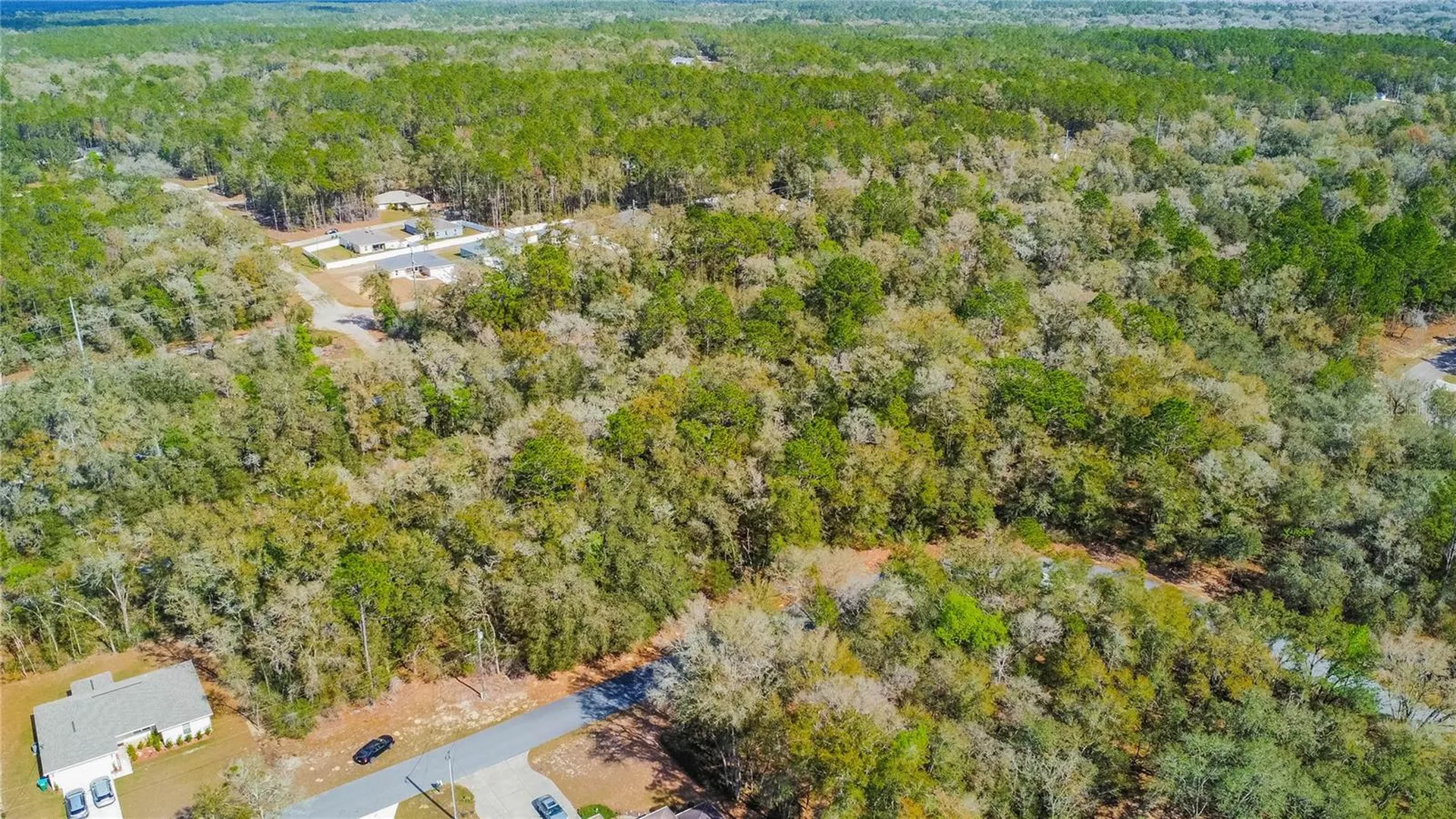 8743 N Sandree Drive Citrus Springs FL 34434
