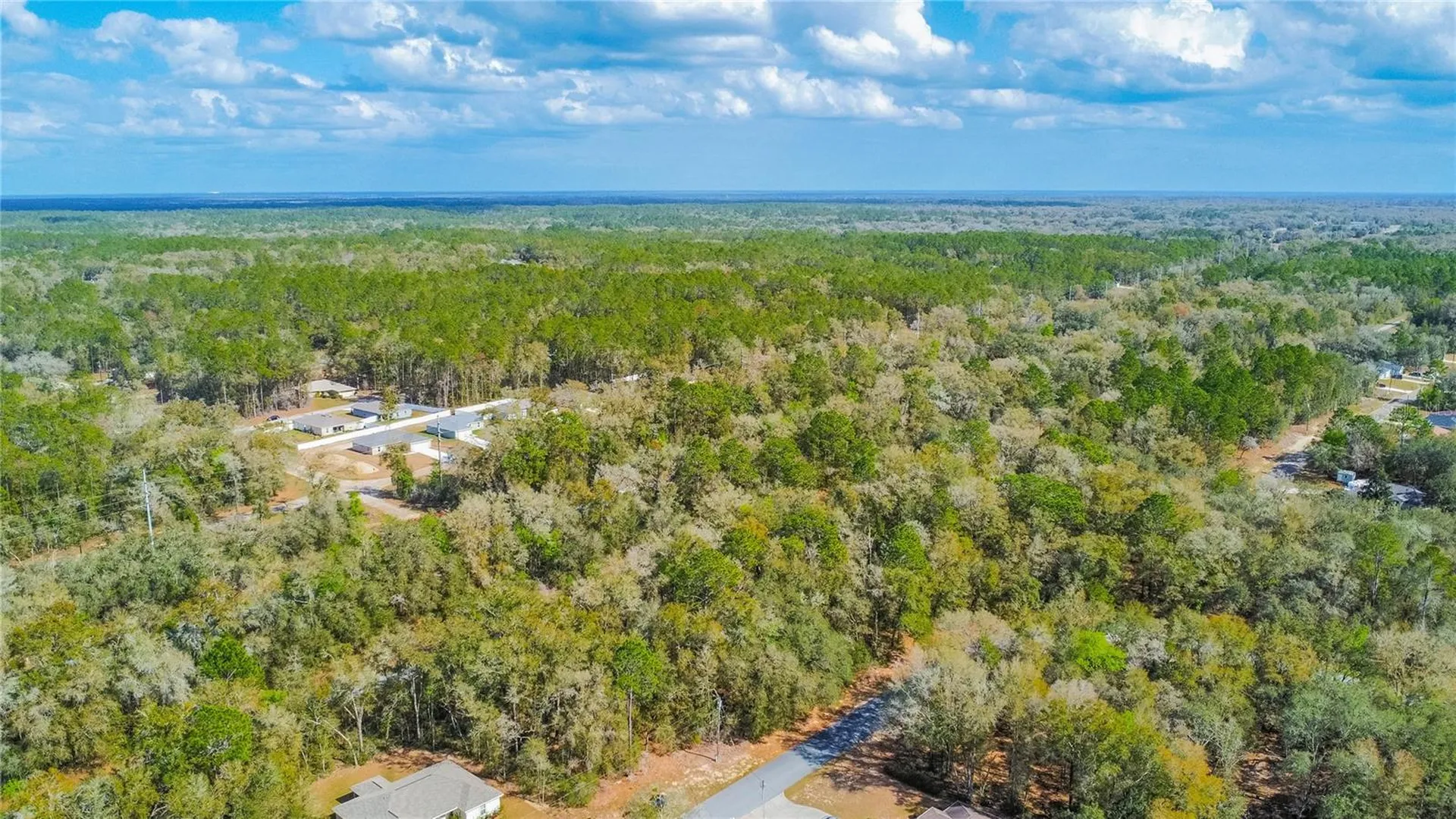 8743 N Sandree Drive Citrus Springs FL 34434