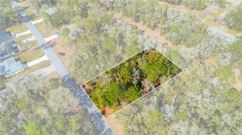 8743 N Sandree Drive Citrus Springs FL 34434