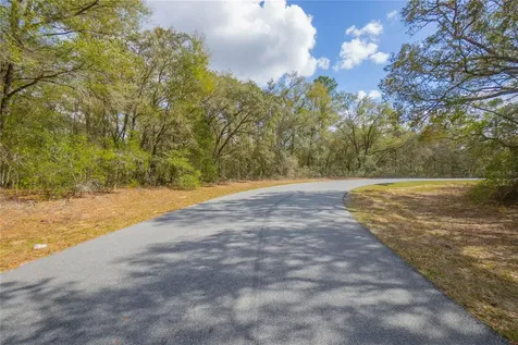 8743 N Sandree Drive Citrus Springs FL 34434