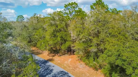 8743 N Sandree Drive Citrus Springs FL 34434