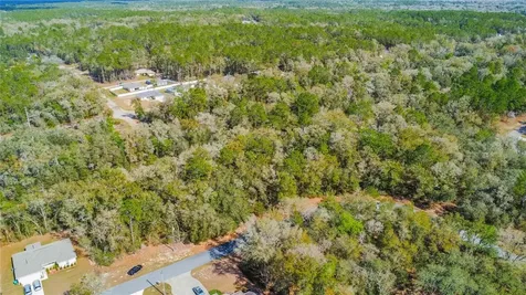 8743 N Sandree Drive Citrus Springs FL 34434