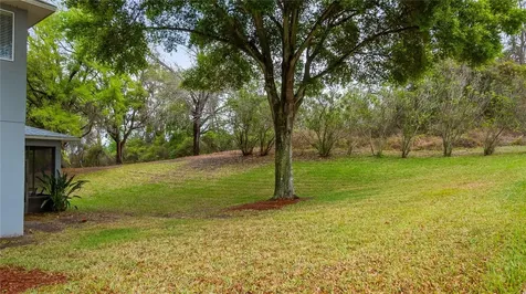 1195 Brentwood Drive Clermont FL 34711