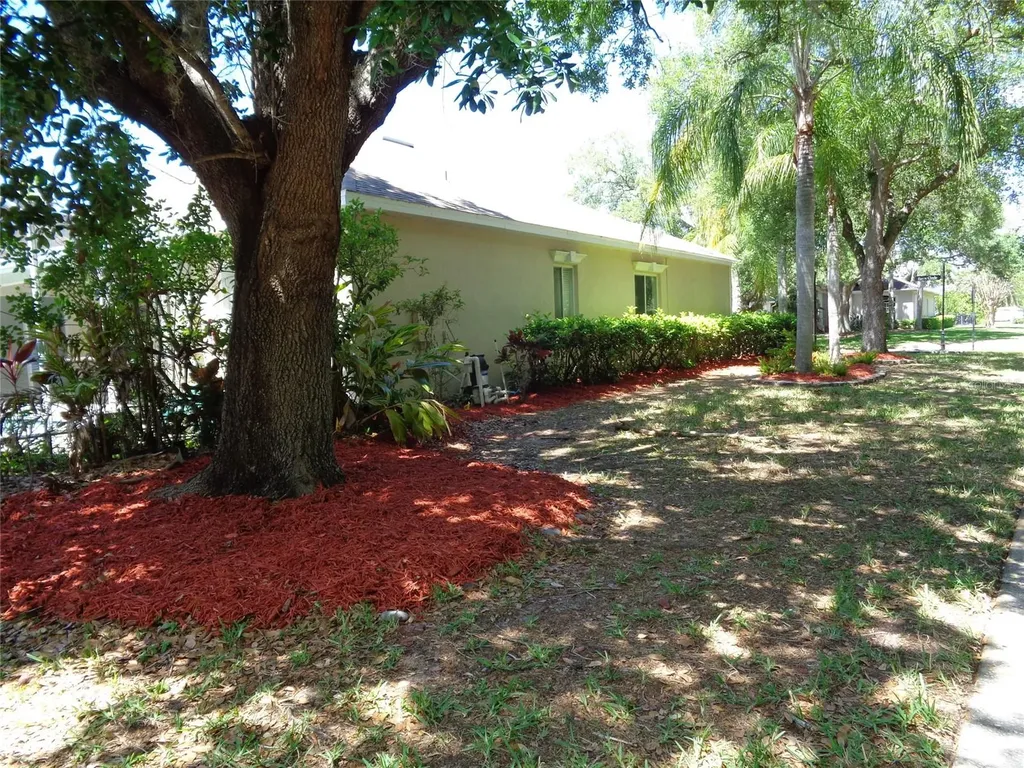 6102 Savoy Circle Lutz FL 33558