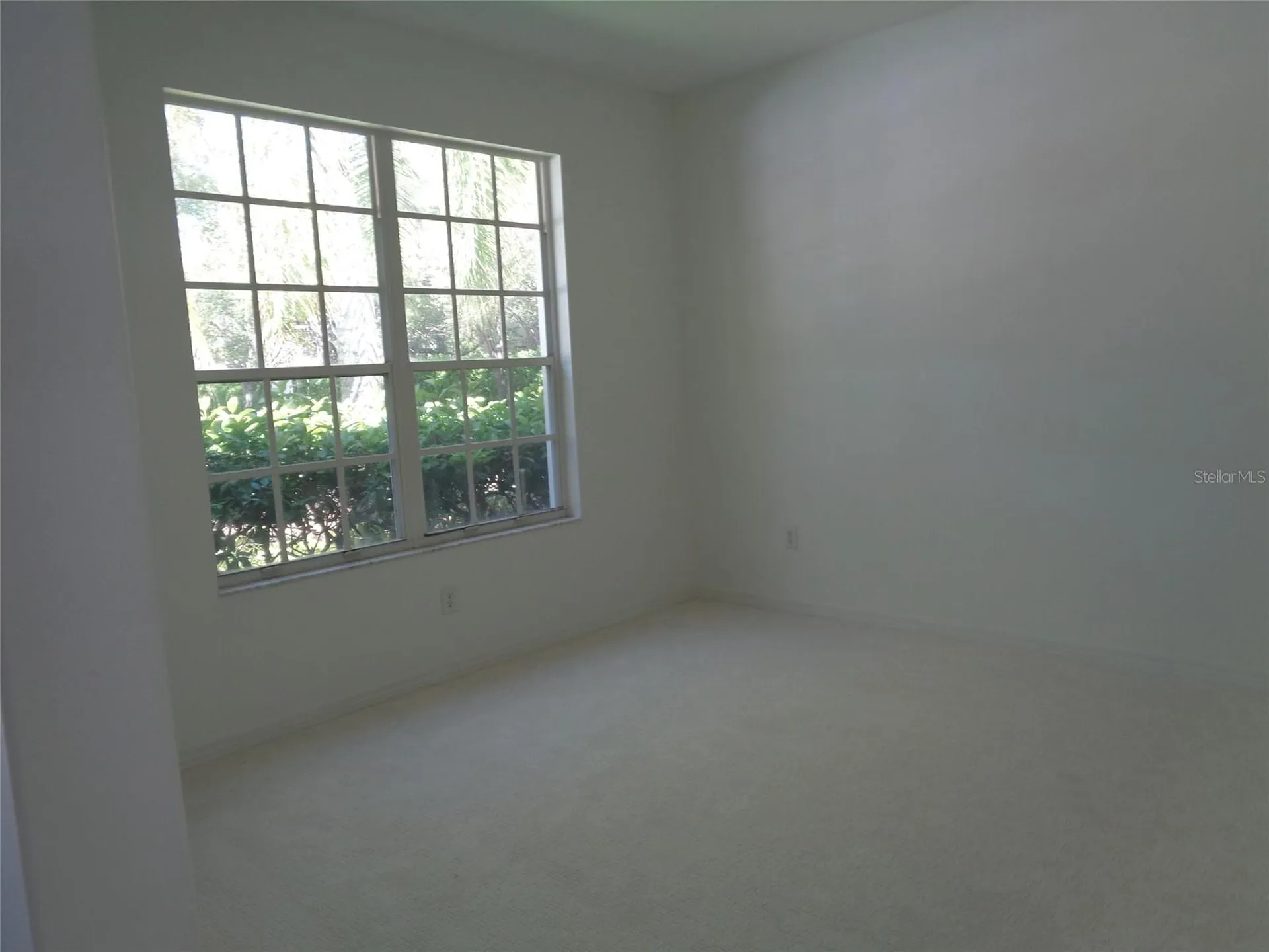 6102 Savoy Circle Lutz FL 33558