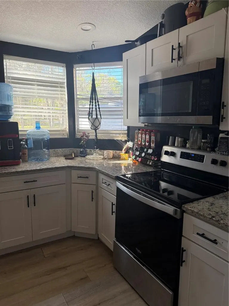 8602 Treasure Island Road Leesburg FL 34788