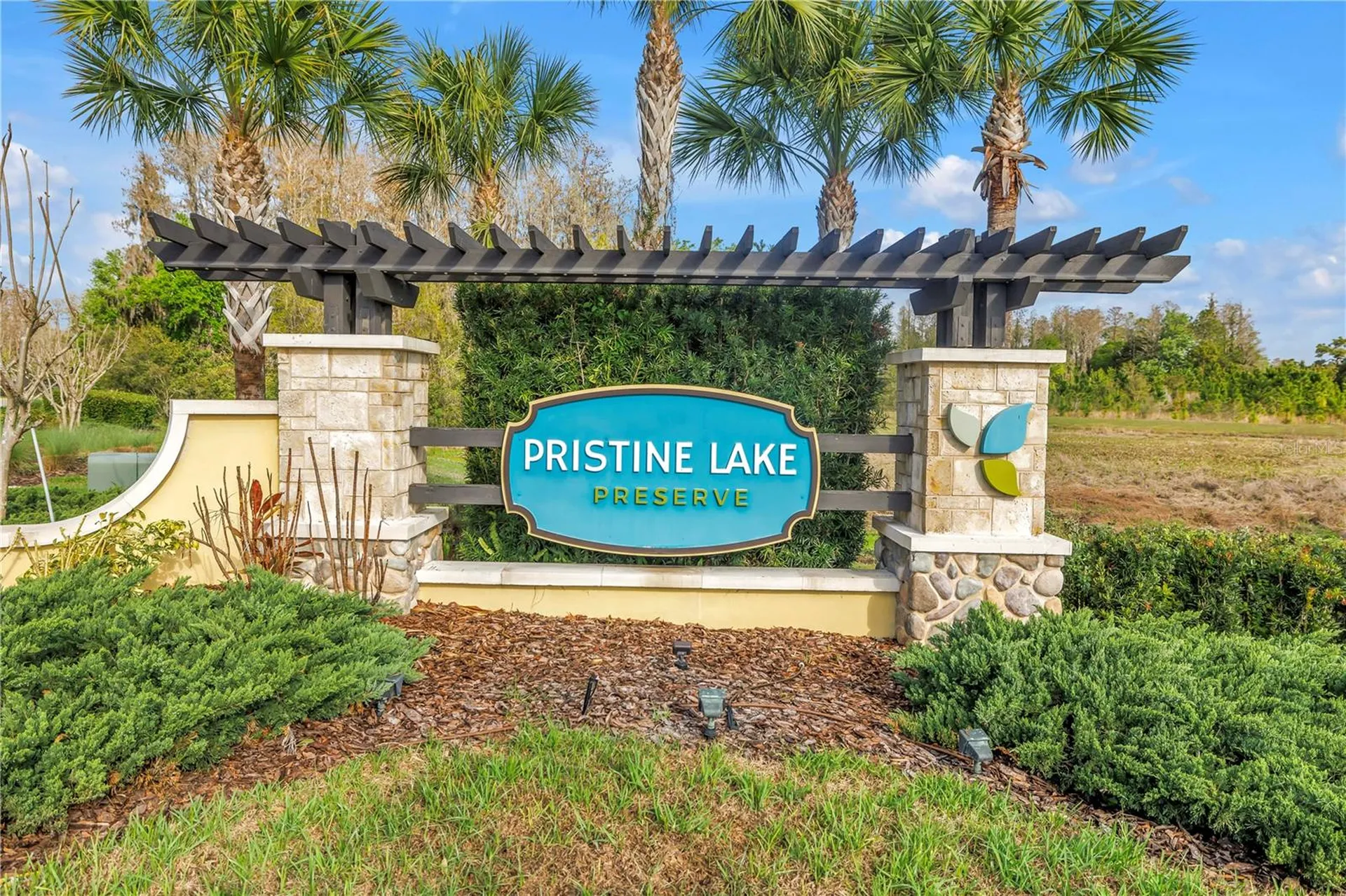 21758 Amelia Rose Way Land O Lakes FL 34637