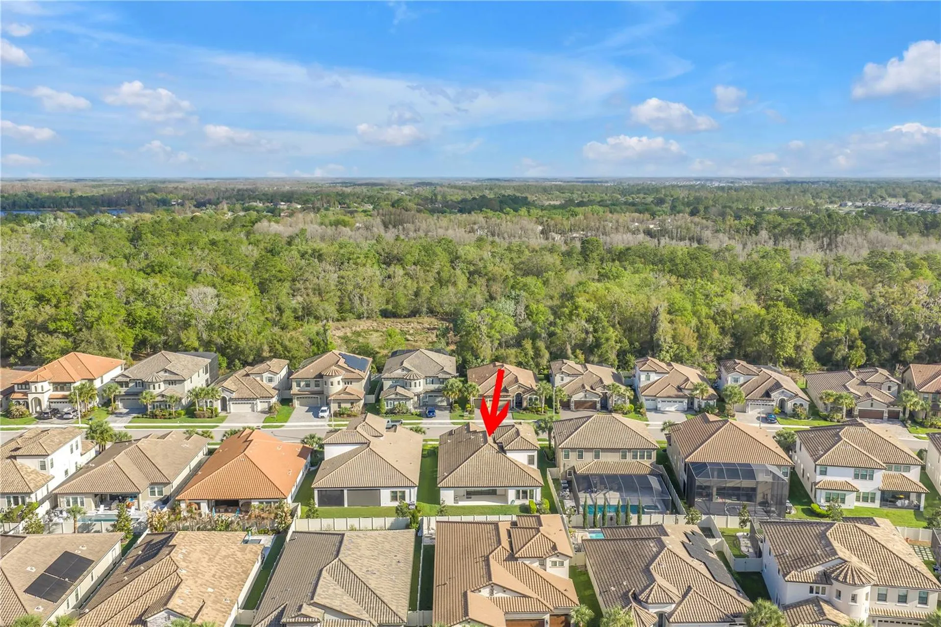 21758 Amelia Rose Way Land O Lakes FL 34637