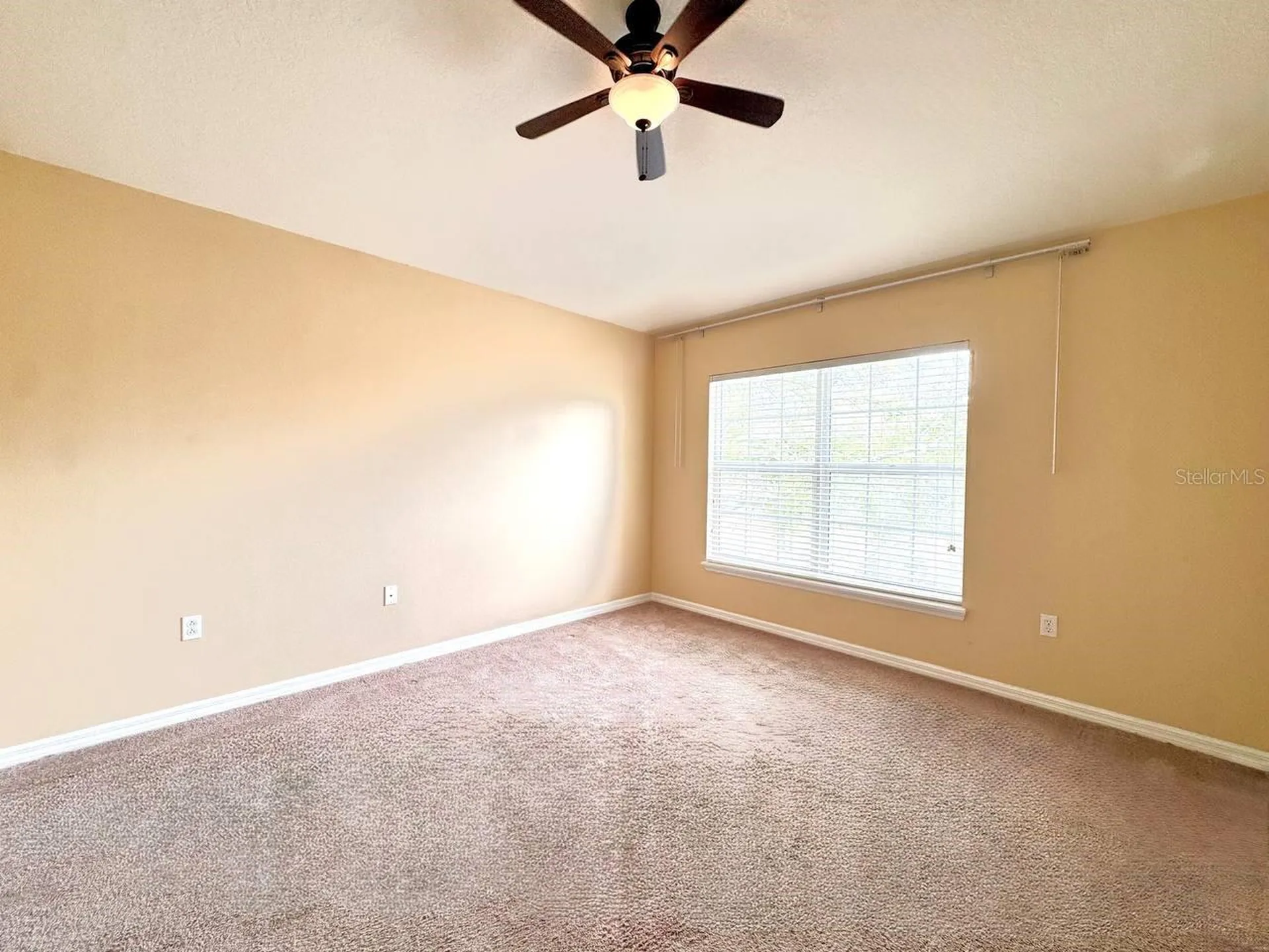 7001 Interbay Boulevard Tampa FL 33616