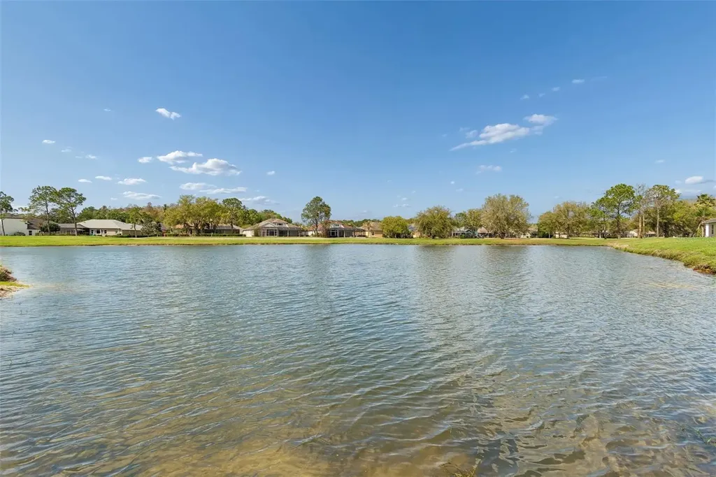 5323 Bold Venture Place Wesley Chapel FL 33544