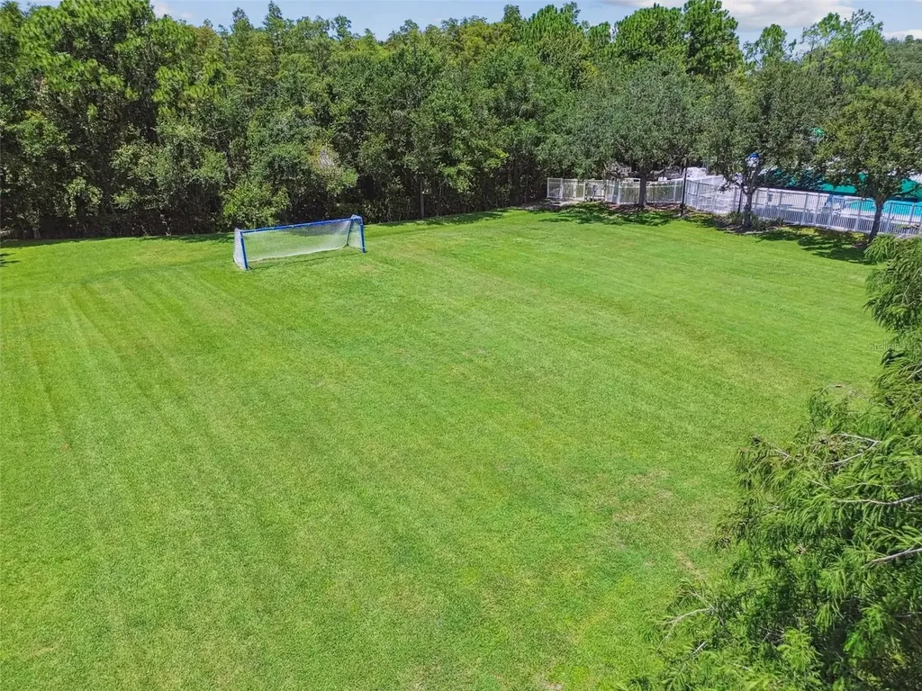 5323 Bold Venture Place Wesley Chapel FL 33544