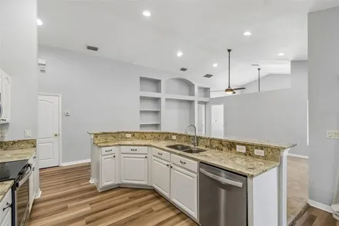 2909 Billingham Drive Land O Lakes FL 34639