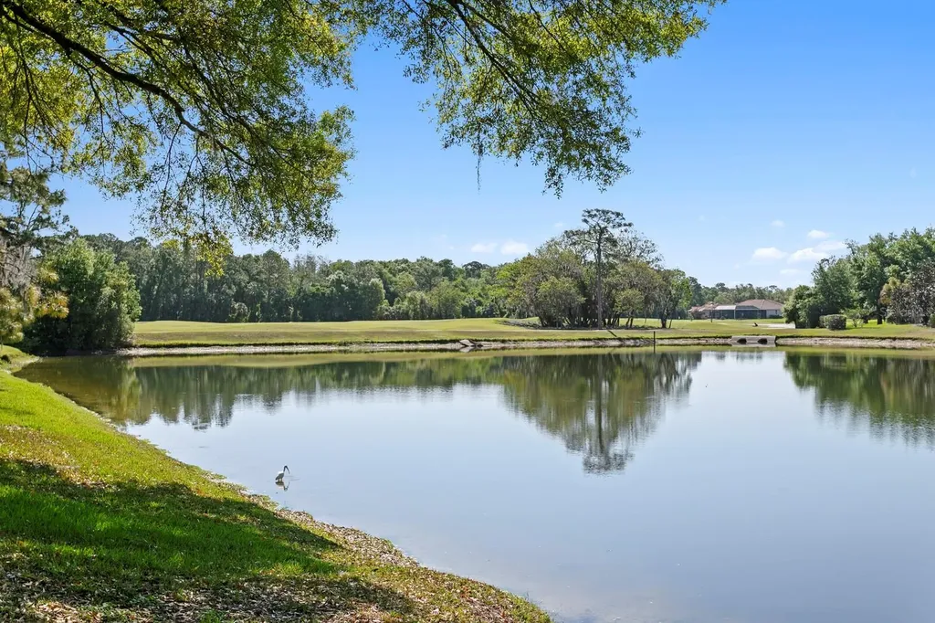 18008 Pinnacle Court Tampa FL 33647