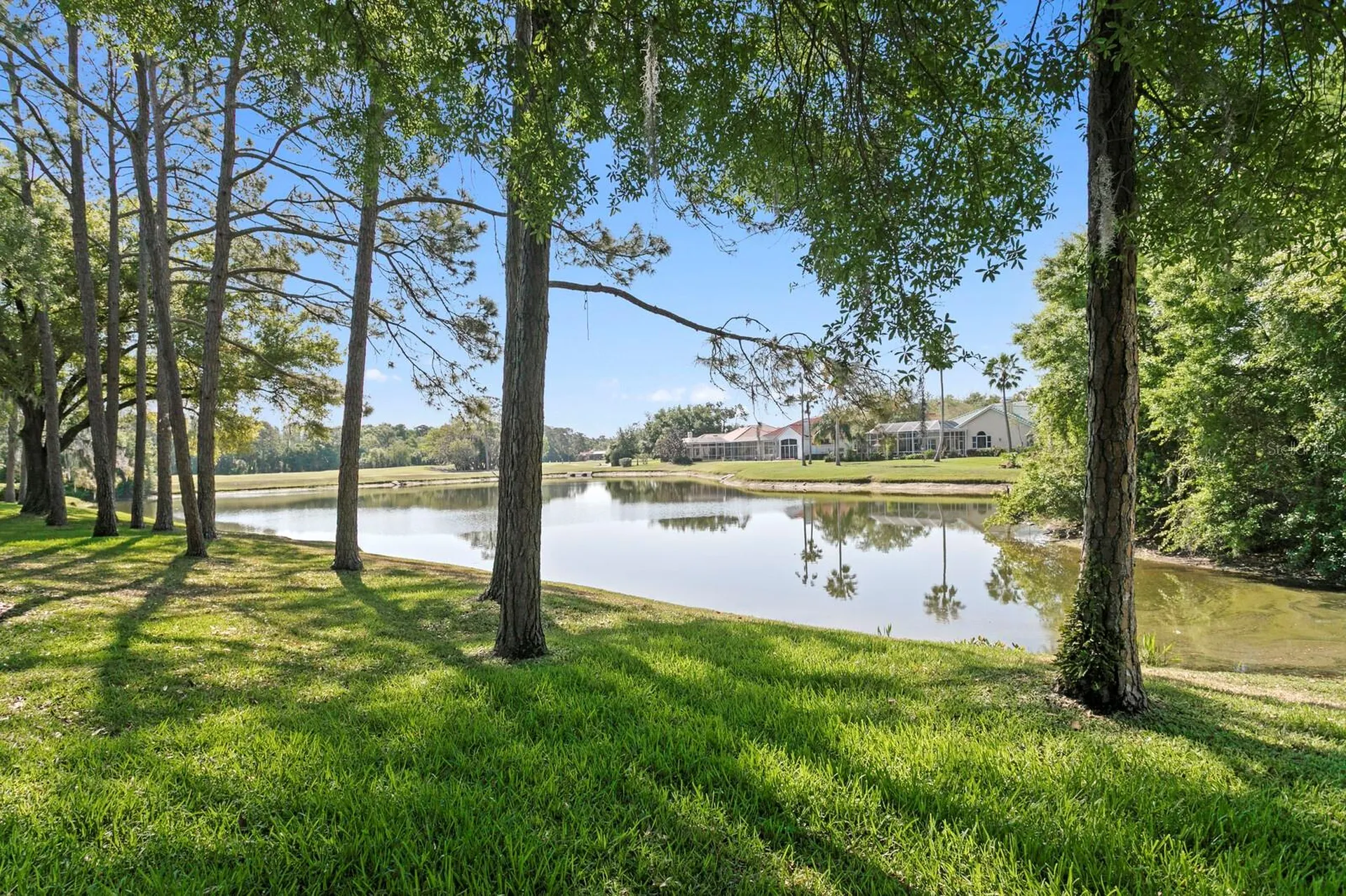 18008 Pinnacle Court Tampa FL 33647