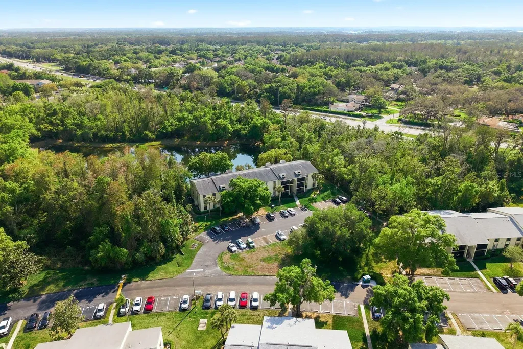 3134 Lake Pine Way Tarpon Springs FL 34688