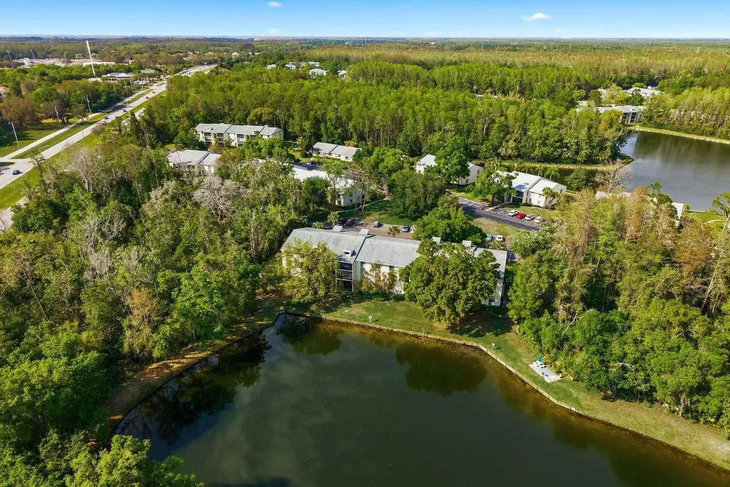 3134 Lake Pine Way Tarpon Springs FL 34688