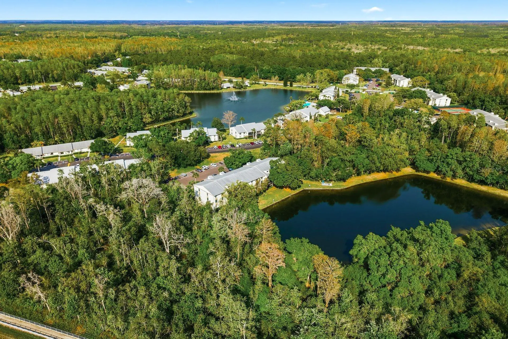 3134 Lake Pine Way Tarpon Springs FL 34688