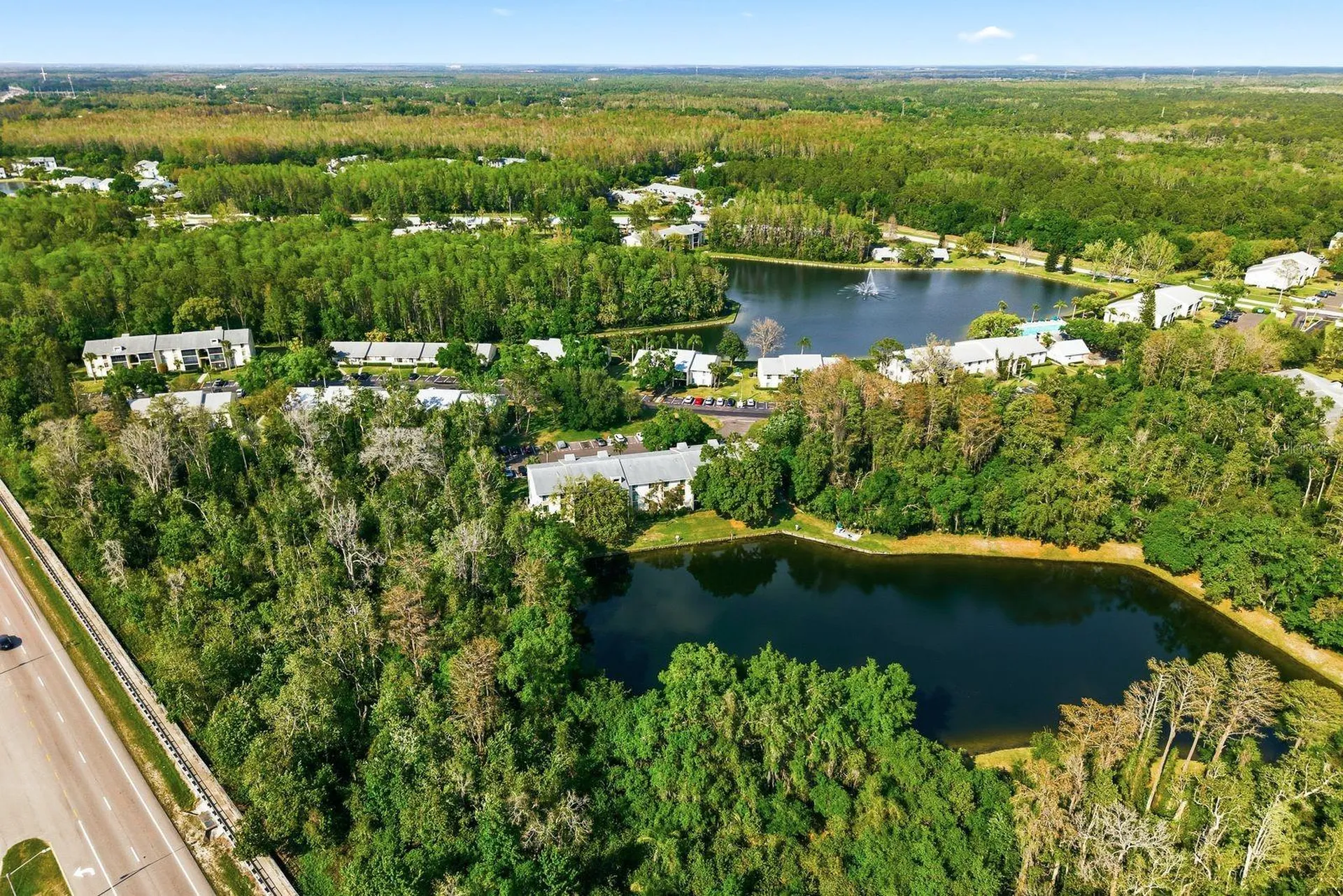3134 Lake Pine Way Tarpon Springs FL 34688