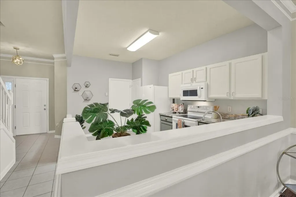 2733 Conch Hollow Drive Brandon FL 33511