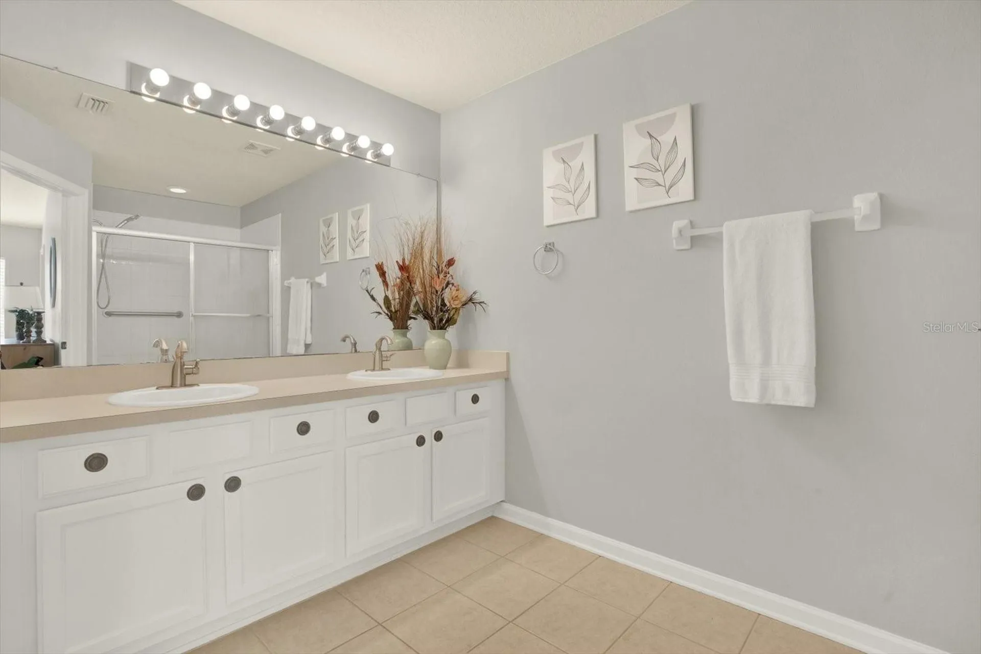 2733 Conch Hollow Drive Brandon FL 33511