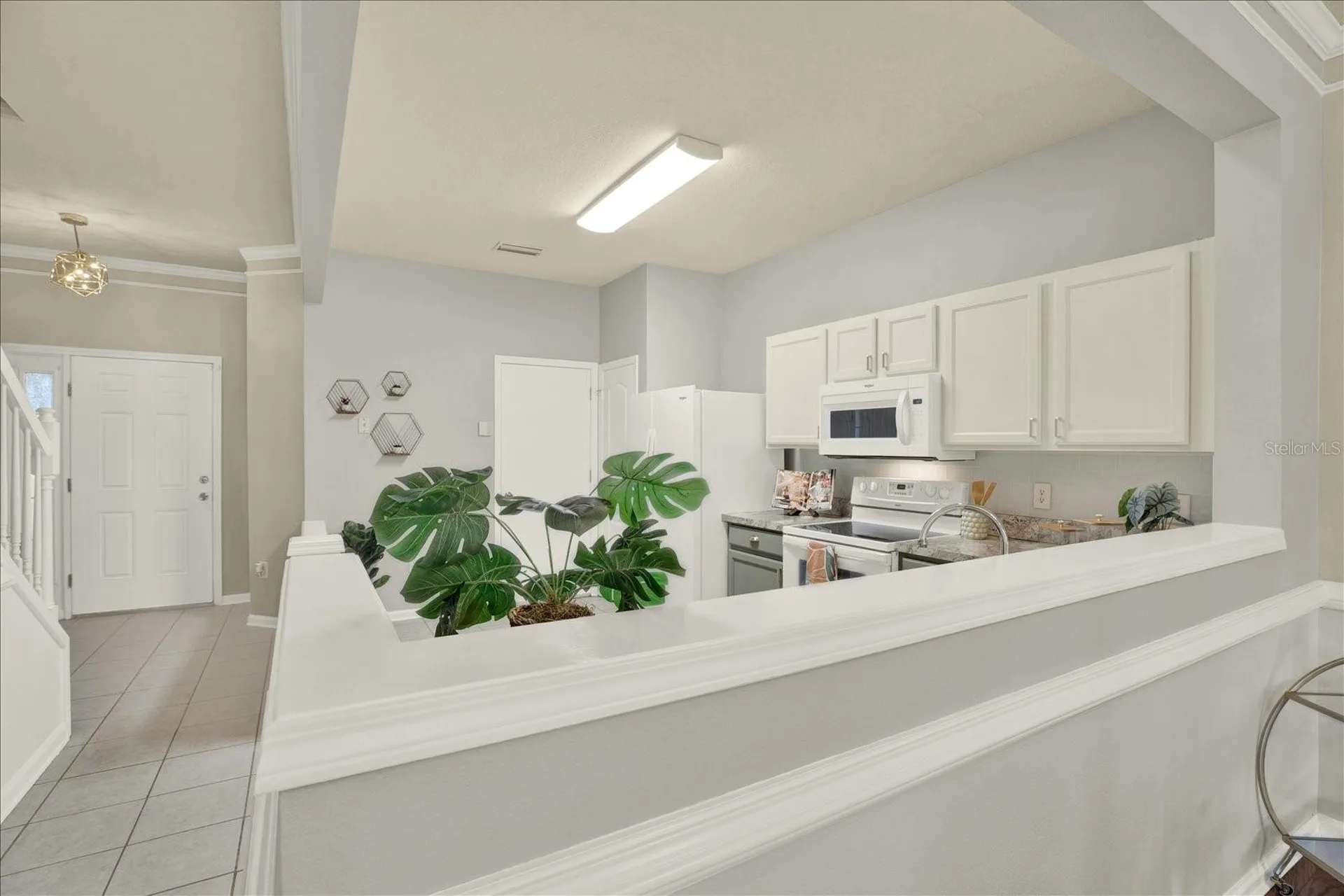 2733 Conch Hollow Drive Brandon FL 33511