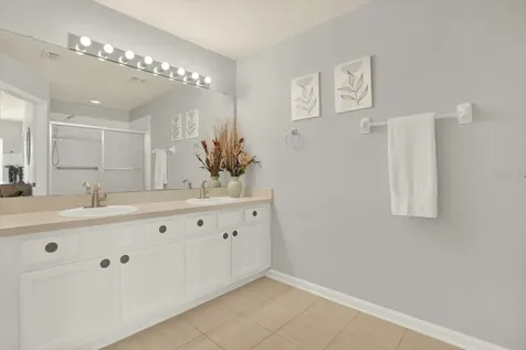 2733 Conch Hollow Drive Brandon FL 33511