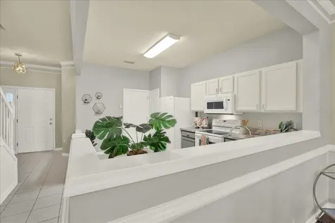 2733 Conch Hollow Drive Brandon FL 33511