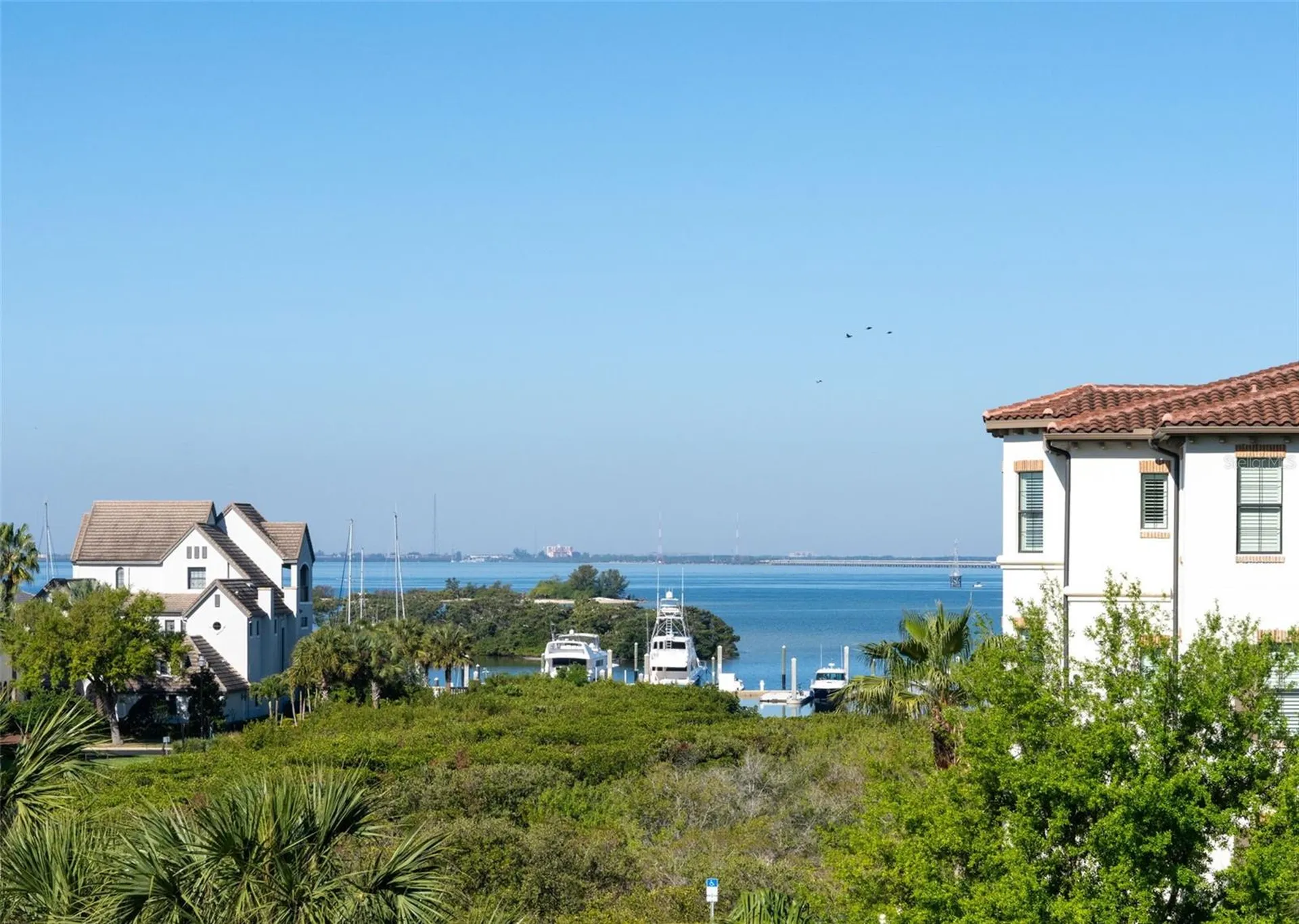 5823 Bowen Daniel Drive Tampa FL 33616