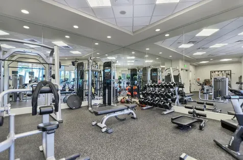 5823 Bowen Daniel Drive Tampa FL 33616