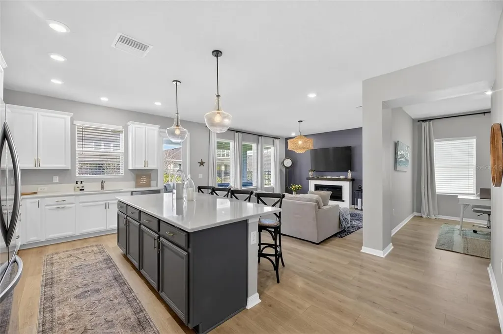6066 Golden Nettle Drive Apollo Beach FL 33572