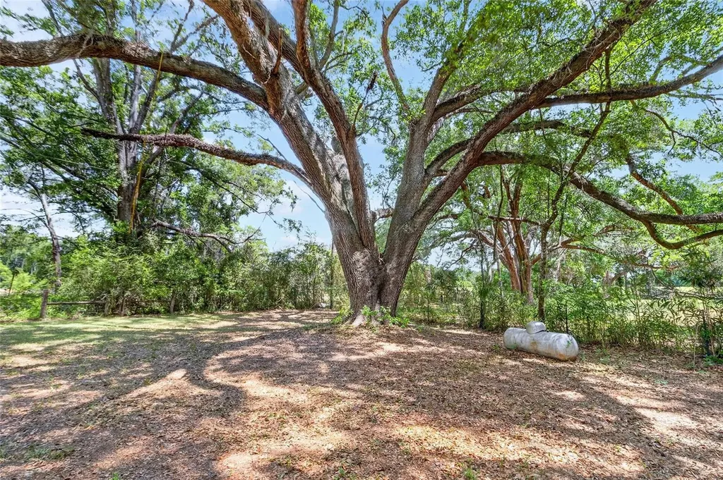 16803 NW State Road 45 High Springs FL 32643