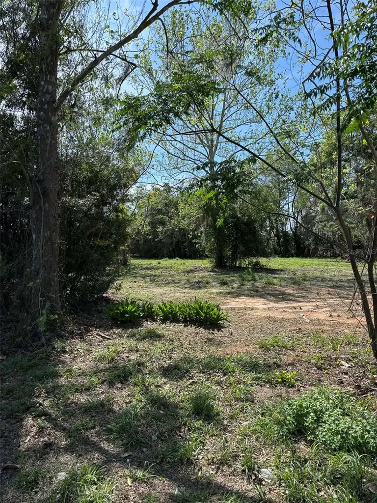 State Road 19 Groveland FL 34736