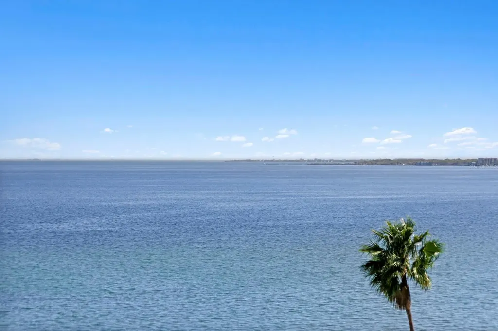 2103 Bayshore Boulevard Tampa FL 33606