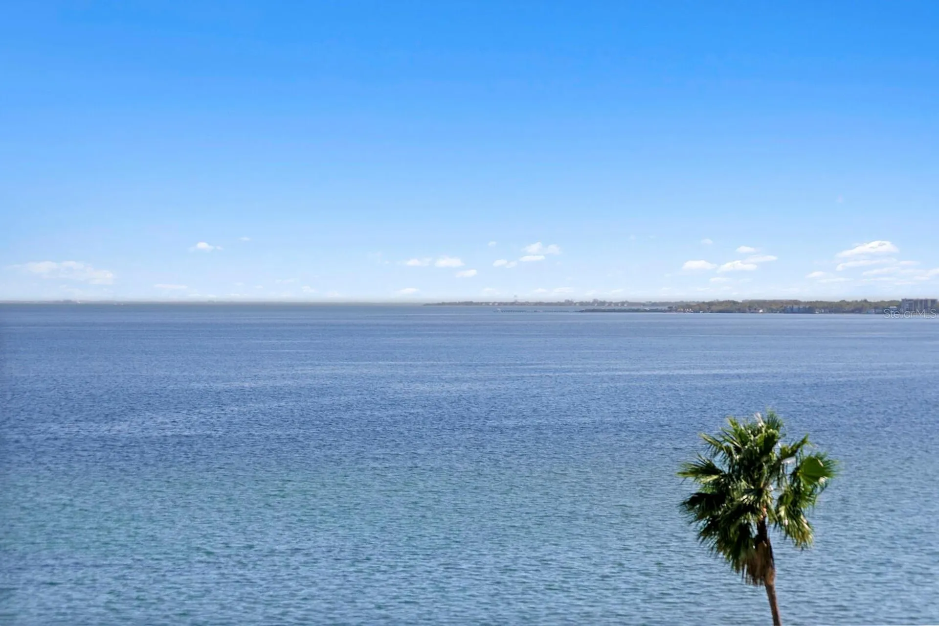 2103 Bayshore Boulevard Tampa FL 33606
