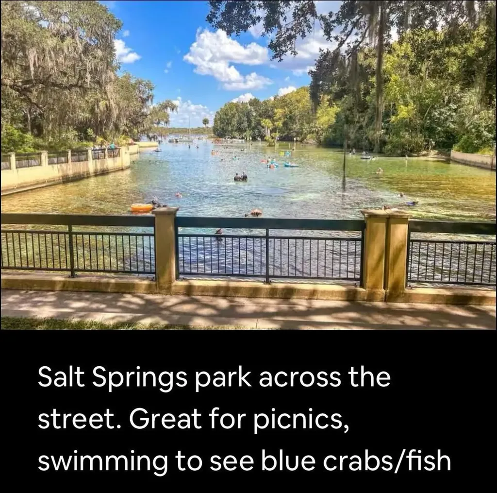 25247 NE 141st Lane Fort Mc Coy FL 32134