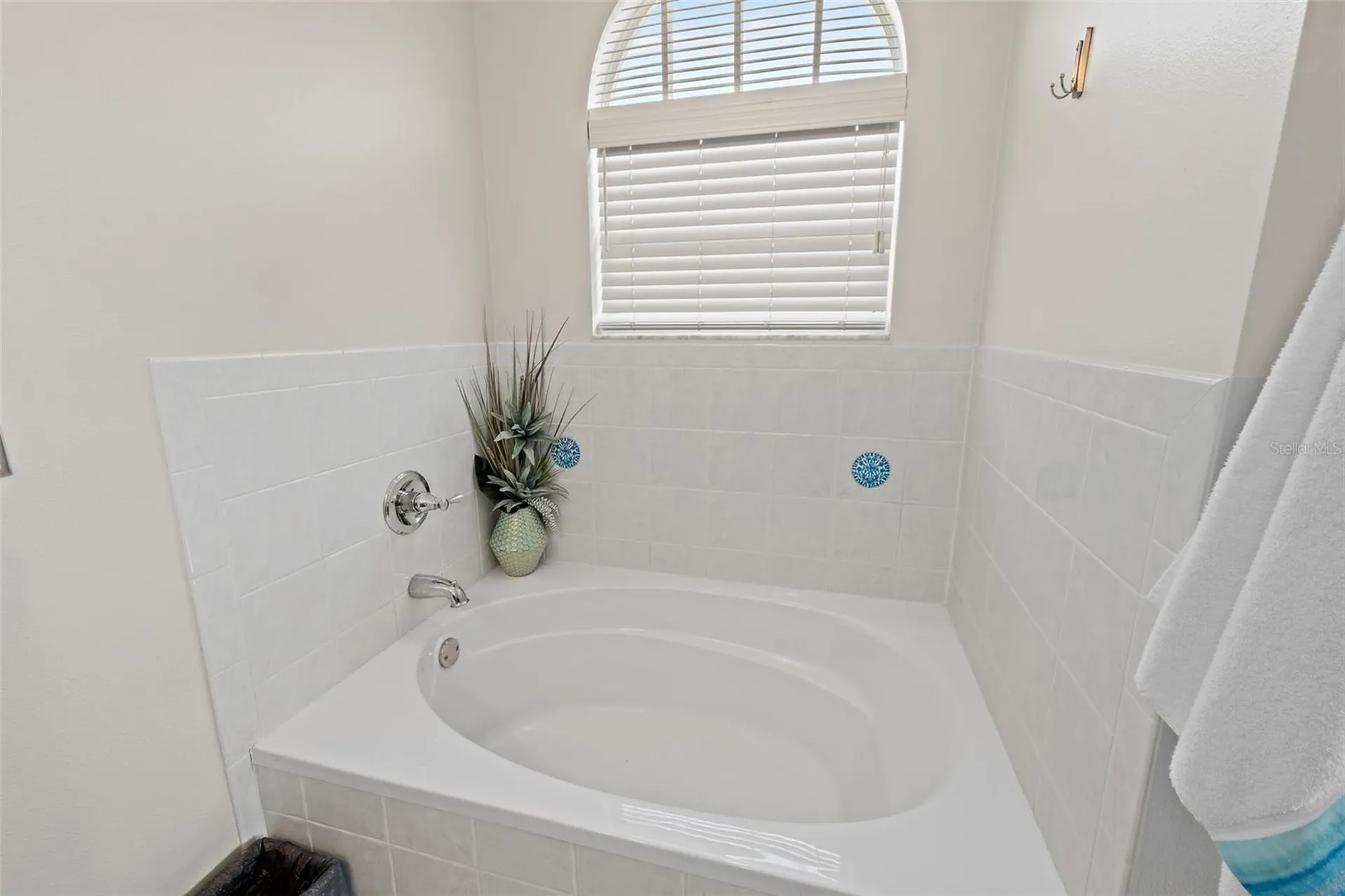 3331 Craggy Bluff Place Cocoa FL 32926