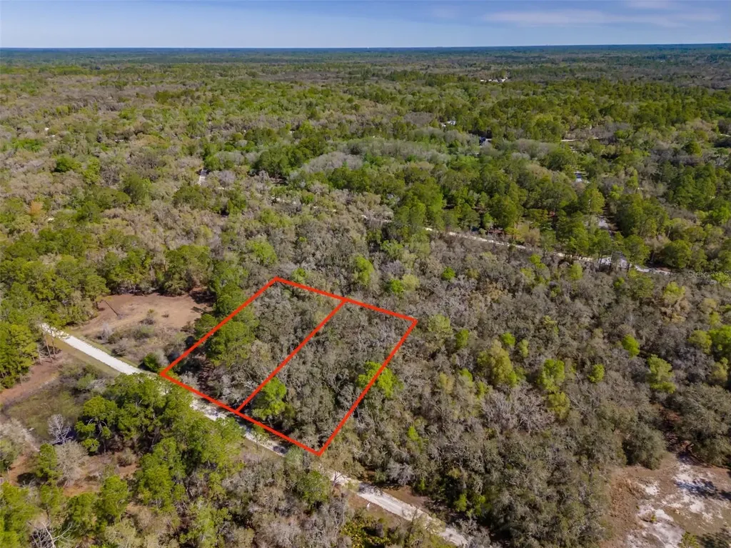 7262 Sonia Avenue Webster FL 33597