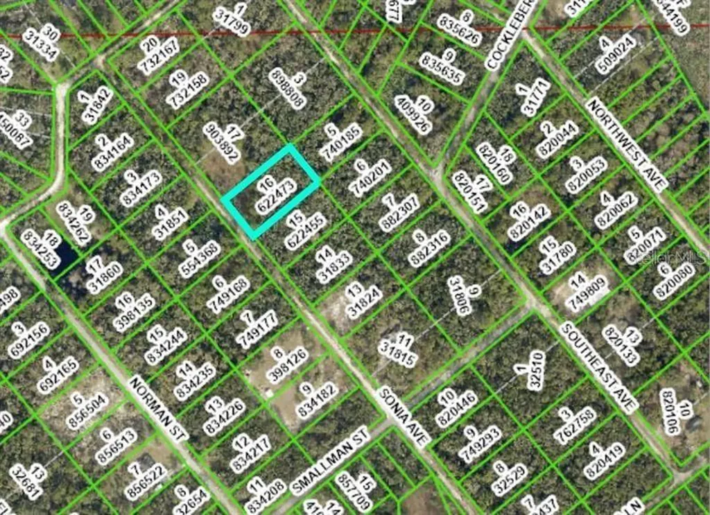 7262 Sonia Avenue Webster FL 33597