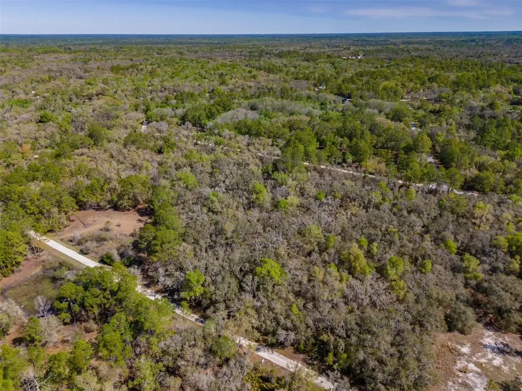 7262 Sonia Avenue Webster FL 33597