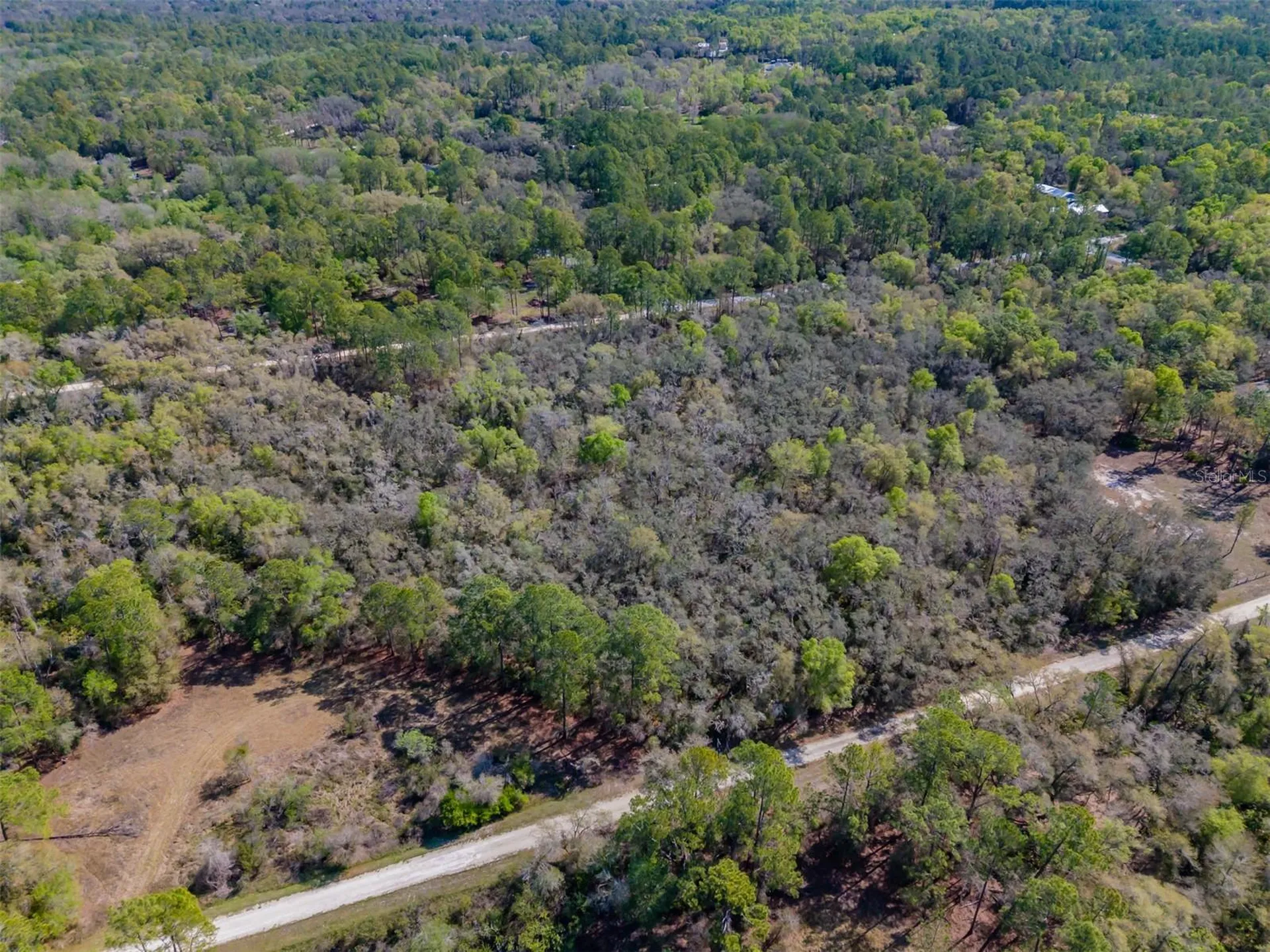 7262 Sonia Avenue Webster FL 33597