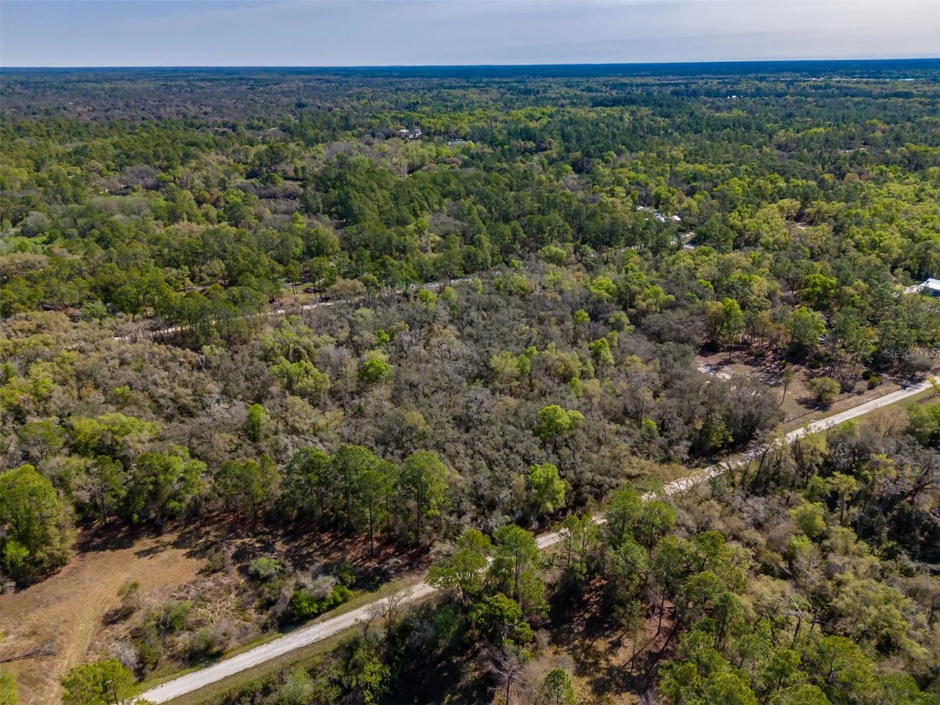 7262 Sonia Avenue Webster FL 33597