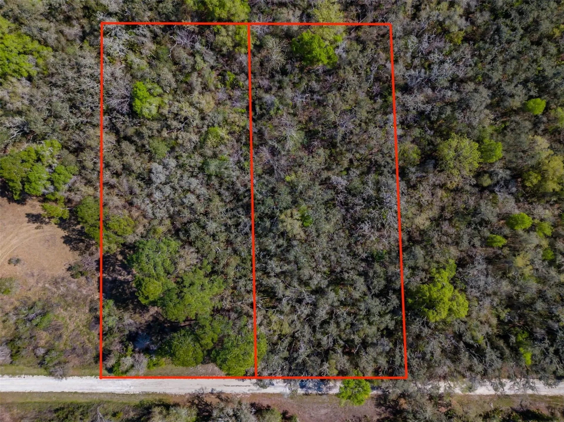 7262 Sonia Avenue Webster FL 33597