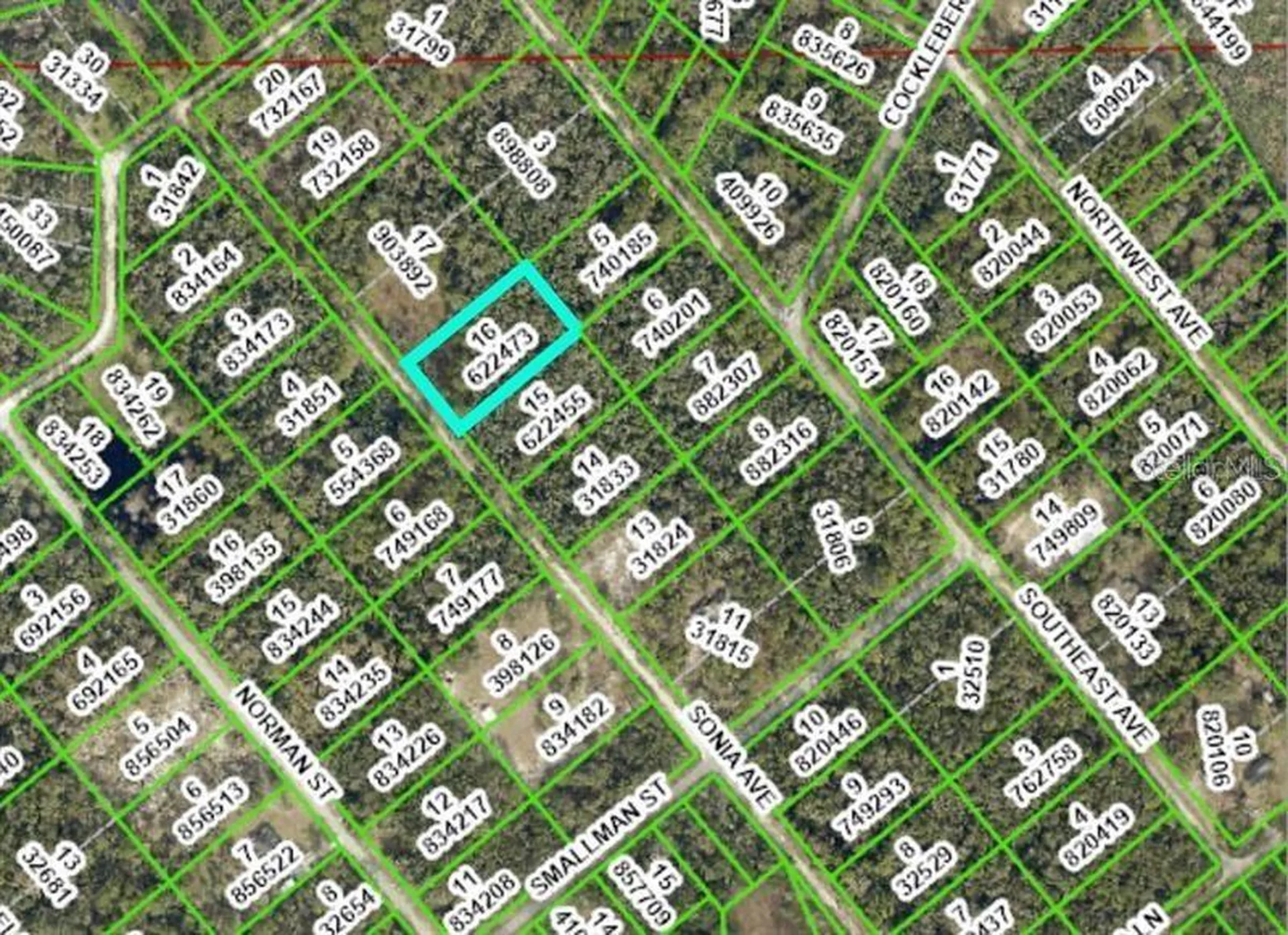 7262 Sonia Avenue Webster FL 33597