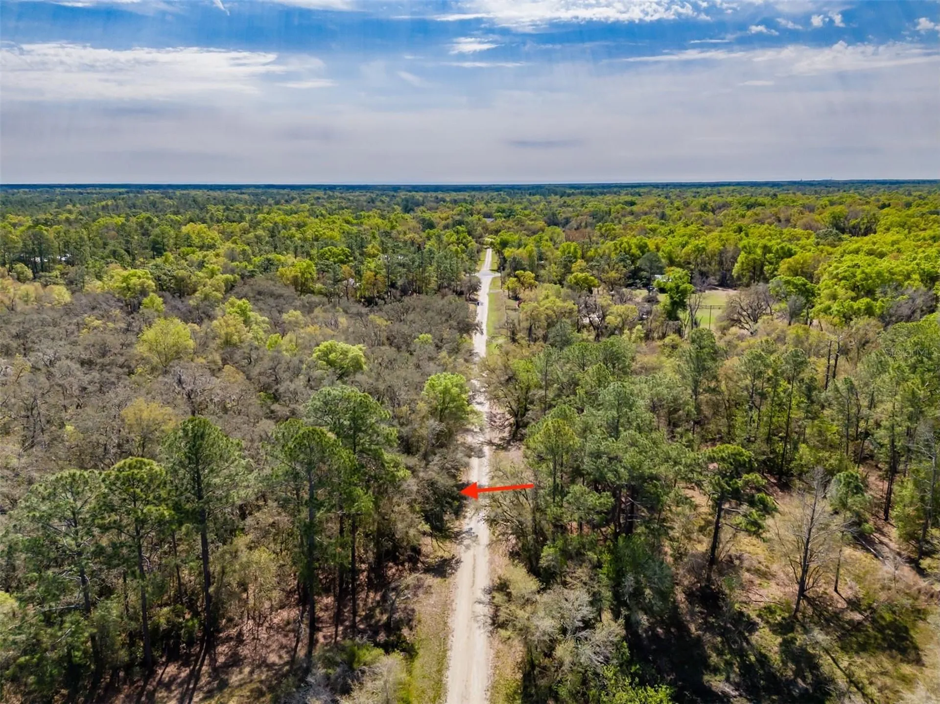 7262 Sonia Avenue Webster FL 33597