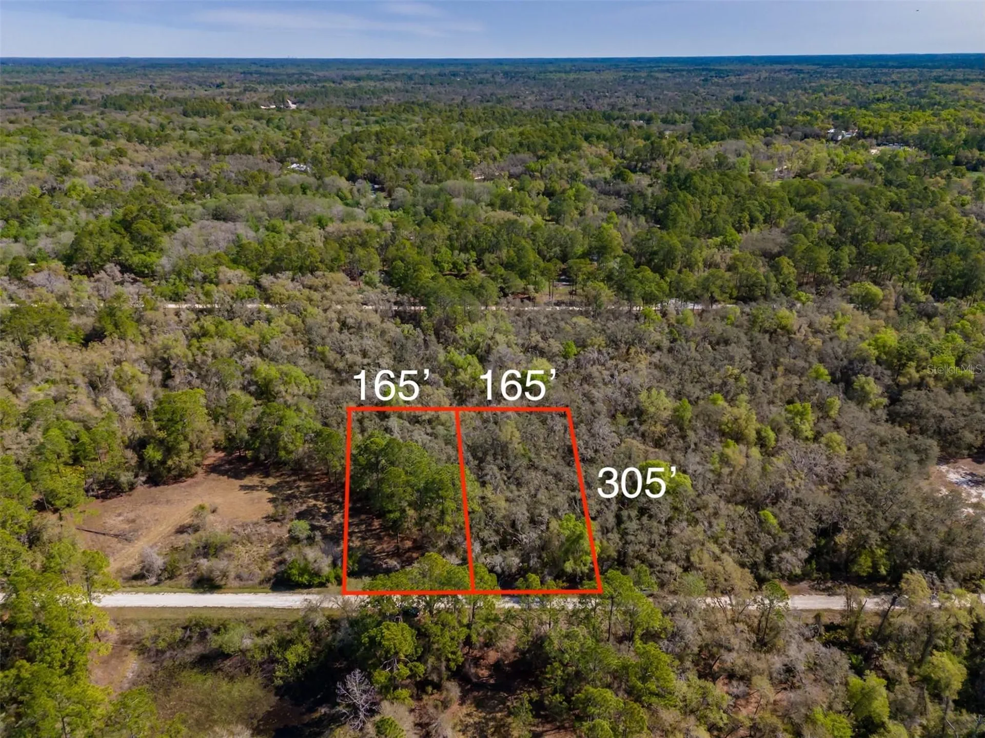 7262 Sonia Avenue Webster FL 33597