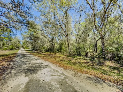 7262 Sonia Avenue Webster FL 33597