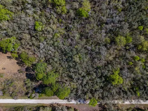 7262 Sonia Avenue Webster FL 33597