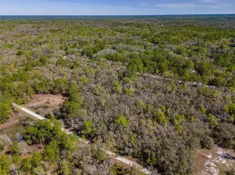 7262 Sonia Avenue Webster FL 33597