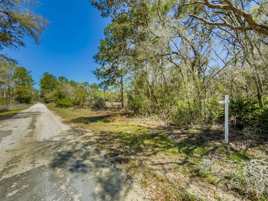 7252 Sonia Avenue Webster FL 33597
