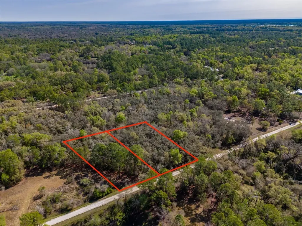 7252 Sonia Avenue Webster FL 33597